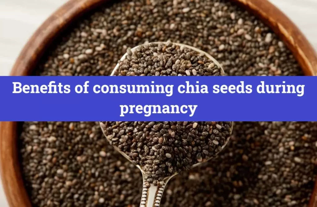 How to Consume Chia Seeds During Pregnancy 4 Easy Ways Pregnancy