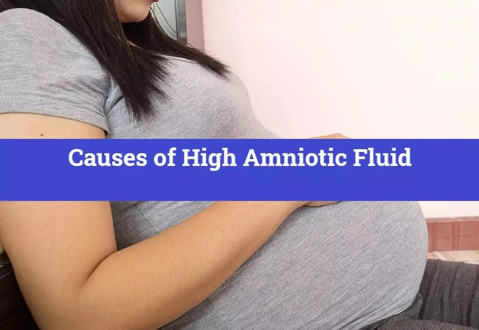 Causes of High Amniotic Fluid
