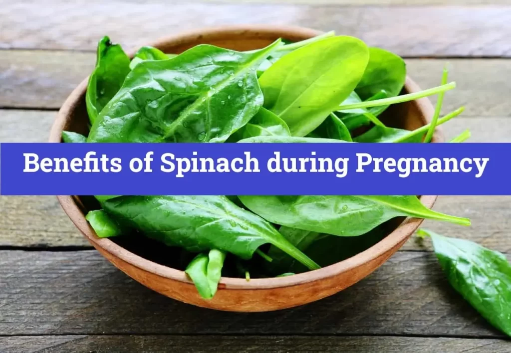 Benefits of Spinach during Pregnancy