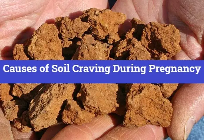 Causes of Soil Craving During Pregnancy