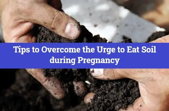 Tips to Overcome the Urge to Eat Soil during Pregnancy
